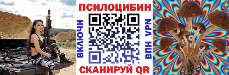 Псилоцибиновые грибы Psilocybe hydra рабочий сайт Артём
